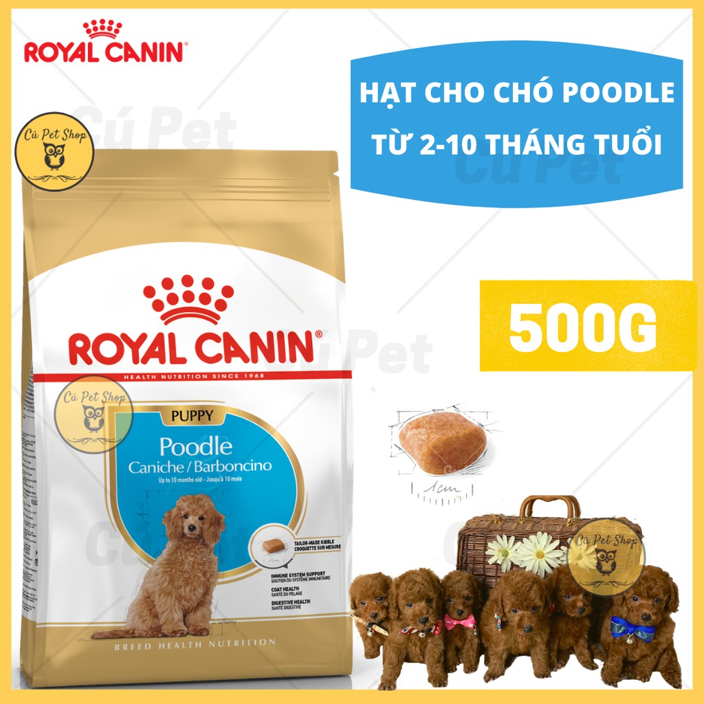 Hạt canin poodle puppy 500g