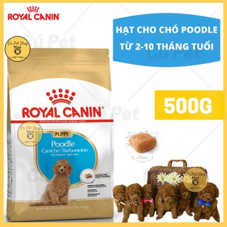 Hạt canin poodle puppy 500g