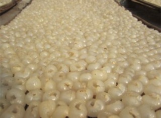 Long nhãn Hưng yên