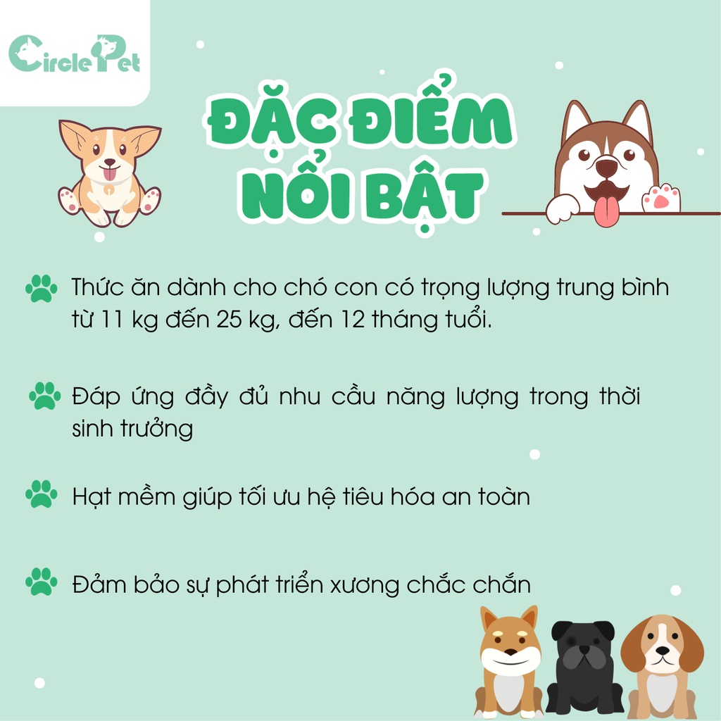 Thức Ăn Cho Chó Con Royal Canin Medium Puppy Hạt Tốt Cho Hệ Tiêu Hóa - Circle Pet