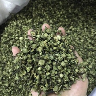 Nụ hoa Tam thất Sa Pa hàng mới siêu đẹp giá rẻ sát giá gốc 500gr