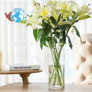 Lọ cắm hoa thủy tinh hình trụ Nhập khẩu Thái Lan 12x12x30cm