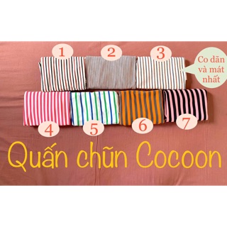 Quấn chũn cocoon