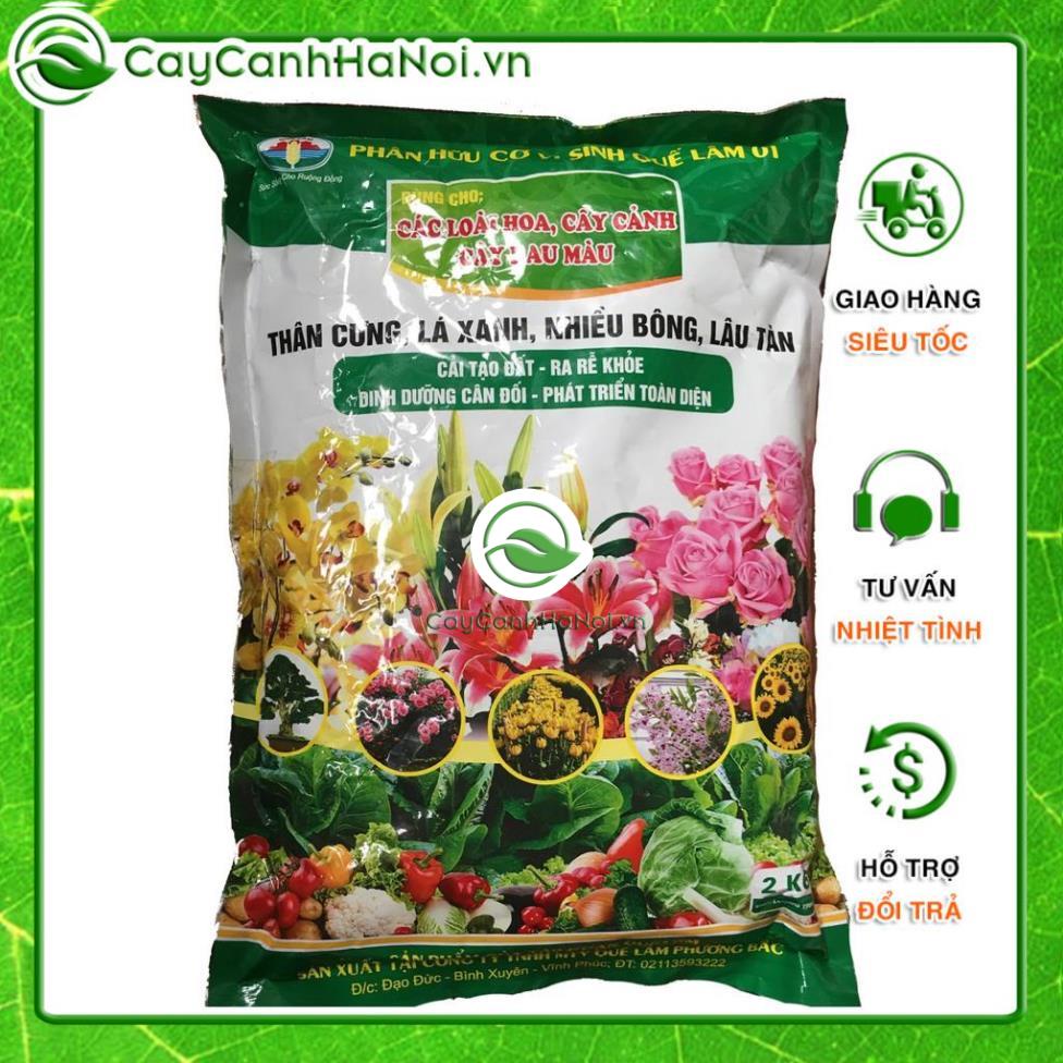 Phân bón hữu cơ vi sinh cho rau, cây cảnh phân bón cây Quế Lâm 2kg 🌱