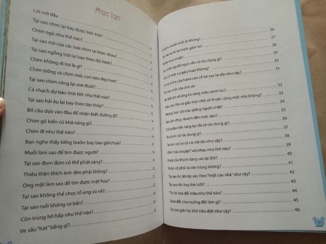 Sách - Hỏi gì cũng biết (Bí mật từ động vật) - 39k | BigBuy360 - bigbuy360.vn