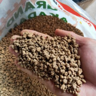Đất nền akadama 500g
