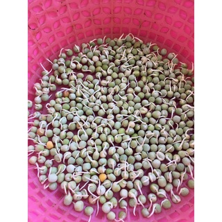 500g Đậu Hà Lan nhập khẩu Mỹ