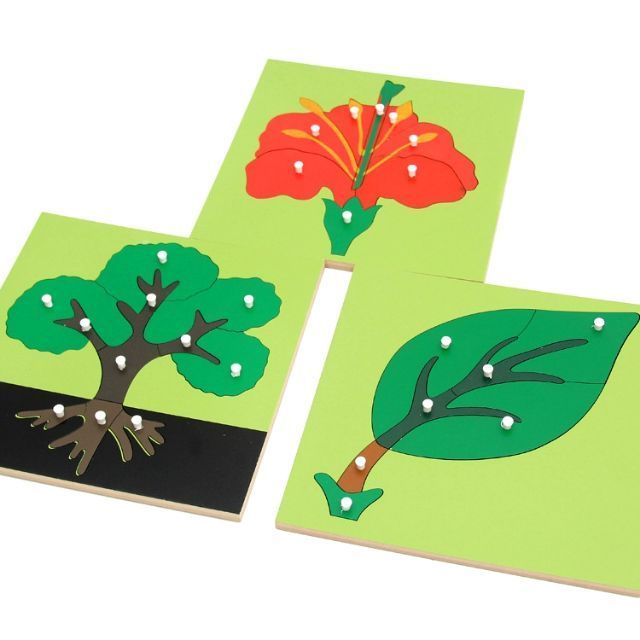 Tranh ghép sinh học Montessori (Puzzle)