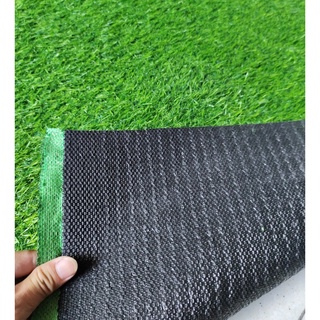 Combo 50 mét vuông thảm cỏ sân vườn 2cm