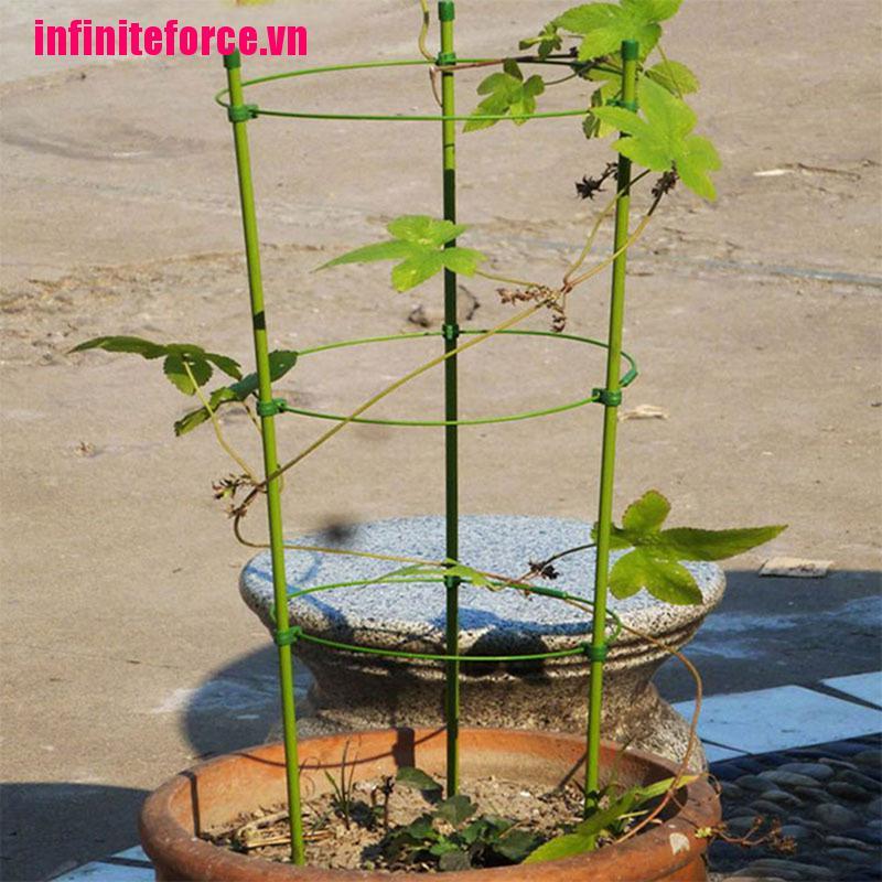Bộ Dây Thừng Hỗ Trợ Trồng Cây Leo Kích Thước 1 45cm