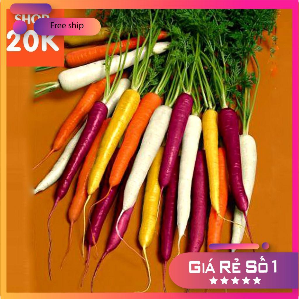 Hạt giống Cà rốt mix (0,1g)