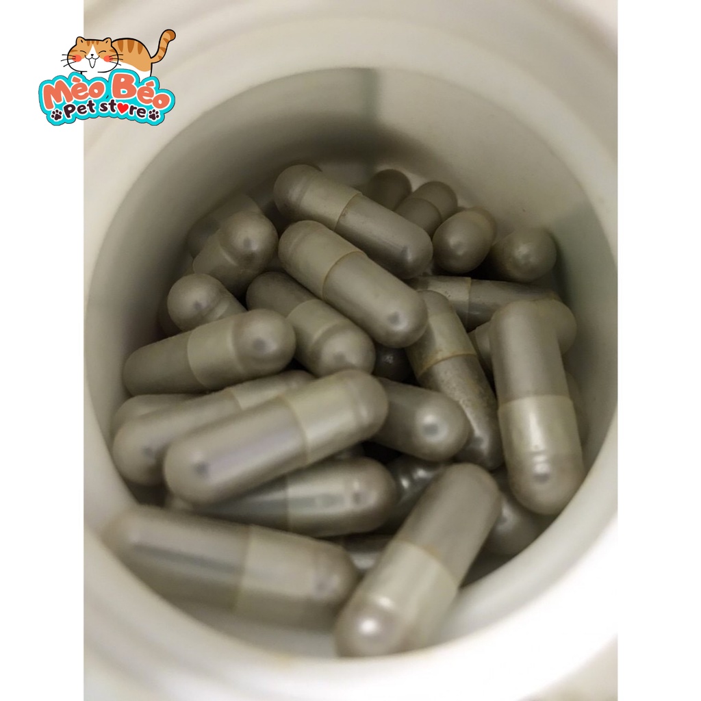 Combo 10 viên kích sữa, tăng tiết sữa C-milk cho chó