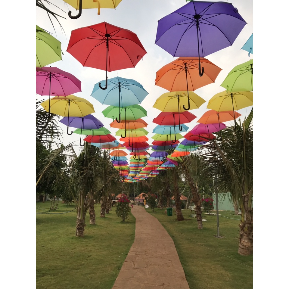 COMBO 65 CHIẾC Ô, DÙ TRANG TRÍ NHIỀU MÀU, HÀNG ĐẸP