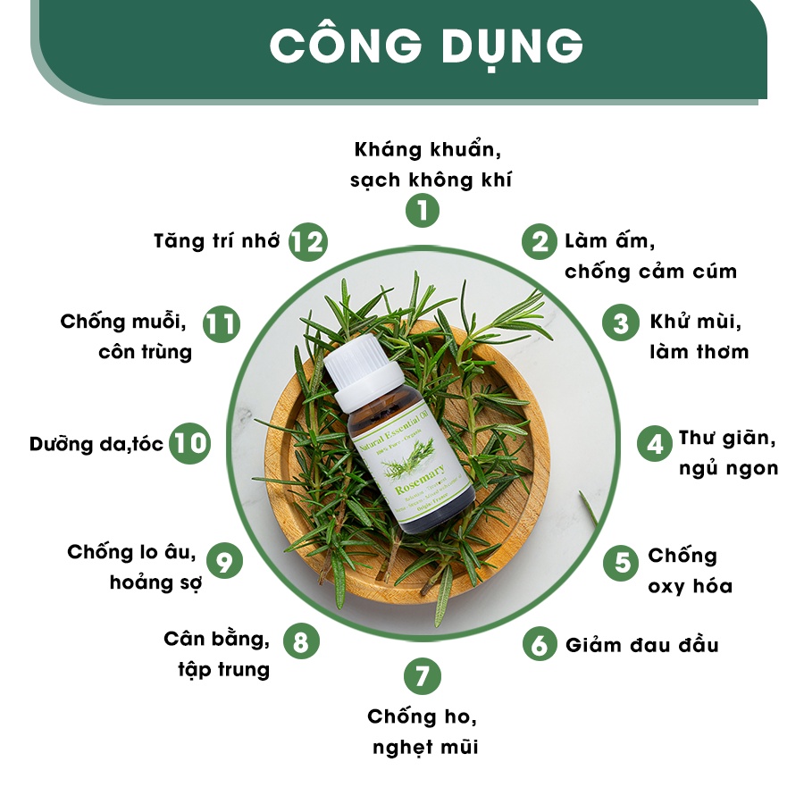 Tinh Dầu Xông Thiên Nhiên Aroma Lá Hương Thảo 10ml