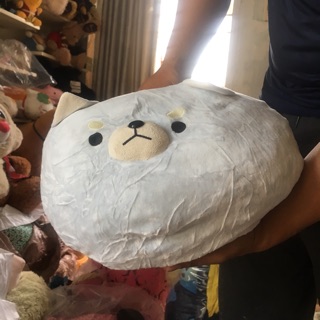 Gấu Trần Quỳnh