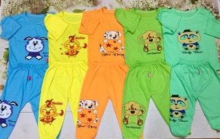 Combo sỉ bộ dài cánh cam đen