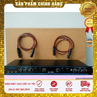 Máy vang cơ yamaha dsb 100 chống hú cao cấp tặng dây canon hàng chính hãng