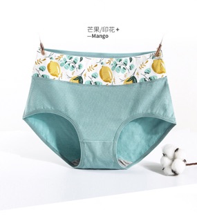 [Hàng order] Quần chip cotton