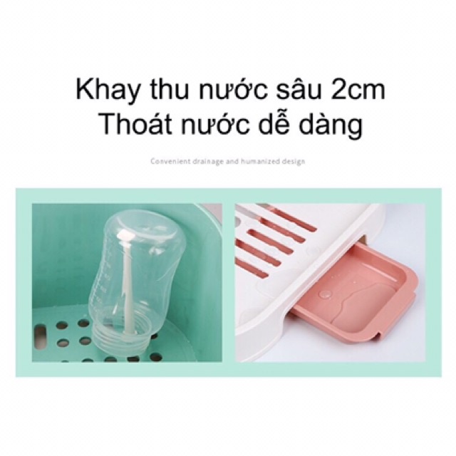 Khay up bình sữa cao cấp Jupin, up bình sữa có nắp đậy cho bé