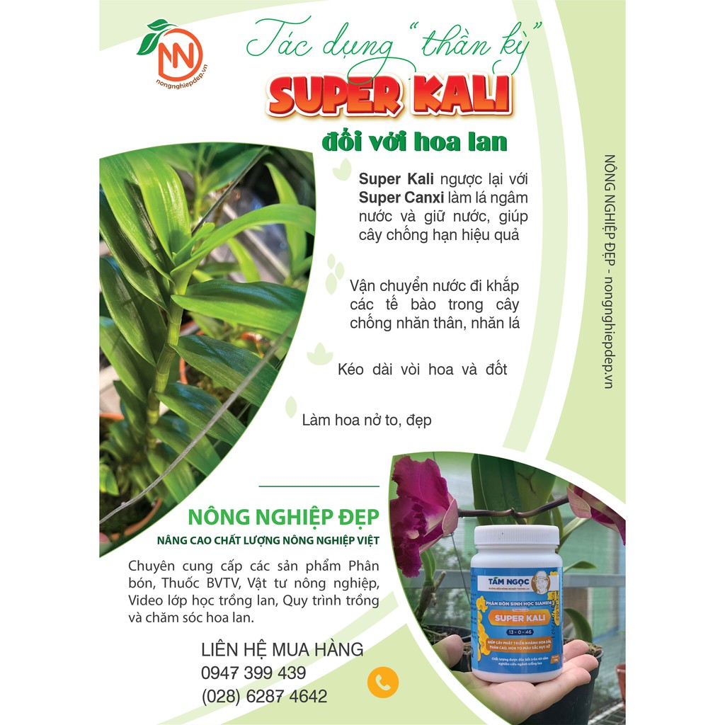 Phân Bón Super Kali 100gr - Thầy Tám Ngọc - Làm Dài Vòi Hoa - Giúp Cây Chịu Hạn