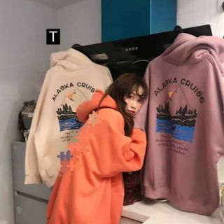 Hoodie Alaska 3653_TRJ