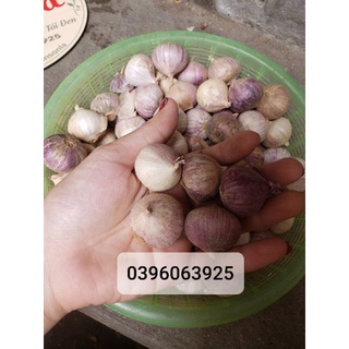 1Kg Tỏi Cô Đơn loại 1 chuyên làm tỏi đen