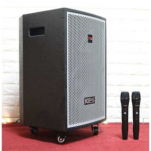Loa kéo điện ACNOS KDNet-3011,vỏ thùng gỗ, Công xuất lớn 400W. Âm thanh hay