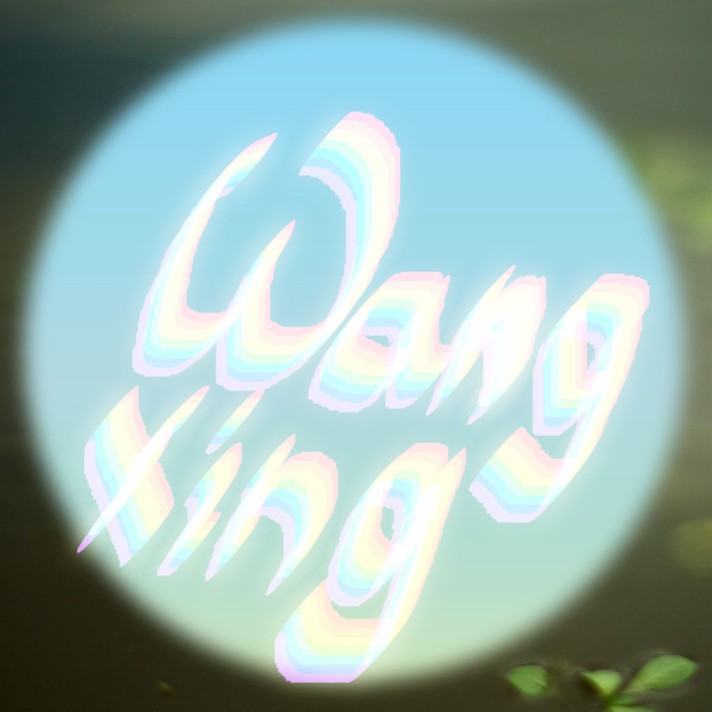 Wangxing Home & Living