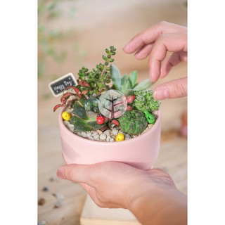 Chậu men trăng rằm trồng mix sen đá và xương rồng (Chưa bao gồm tiểu cảnh, có thể mix tùy ý)