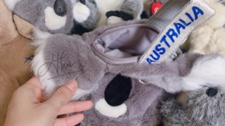 SET KOALA NHỒI BÔNG ĐỦ SIZE