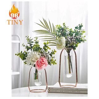 Lọ hoa thủy tinh trang trí để bàn, cắm hoa, trồng cây thủy sinh, sáng tạo không gian xanh