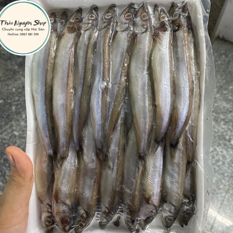 Cá trứng Nauy 100% Full trứng từng con 1 đóng khay 500gr.