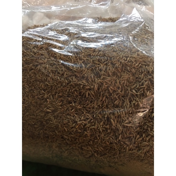 1kg cumin hạt thì là ấn độ hàng chuẩn giá tốt