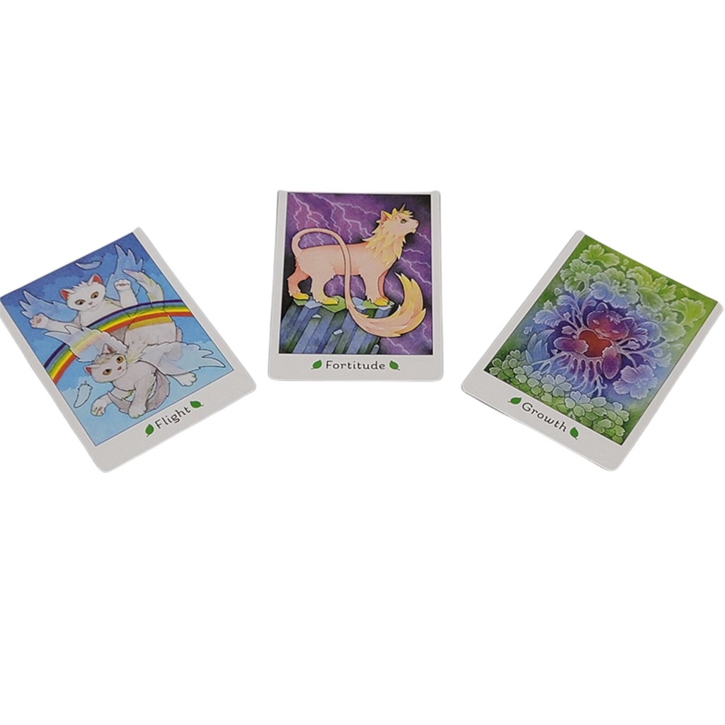 Bộ Bài Affirmations Of The Fairy Cats O5