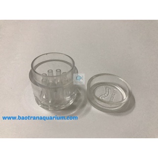 Bẫy sán cho hồ tép cảnh - Phương pháp diệt sán hiệu quả