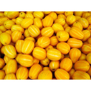 DƯA LÊ HÀN QUỐC F1 10 hạt