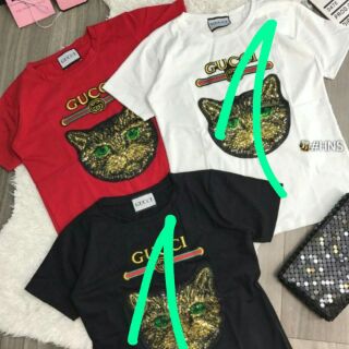 Combo áo phông kim sa