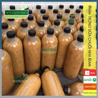 Chai 1 lít phân trứng sữa nha đam nhà ủ siêu dinh dưỡng bón thúc giai đoạn sinh trưởng, giúp bền cây phục hồi cây