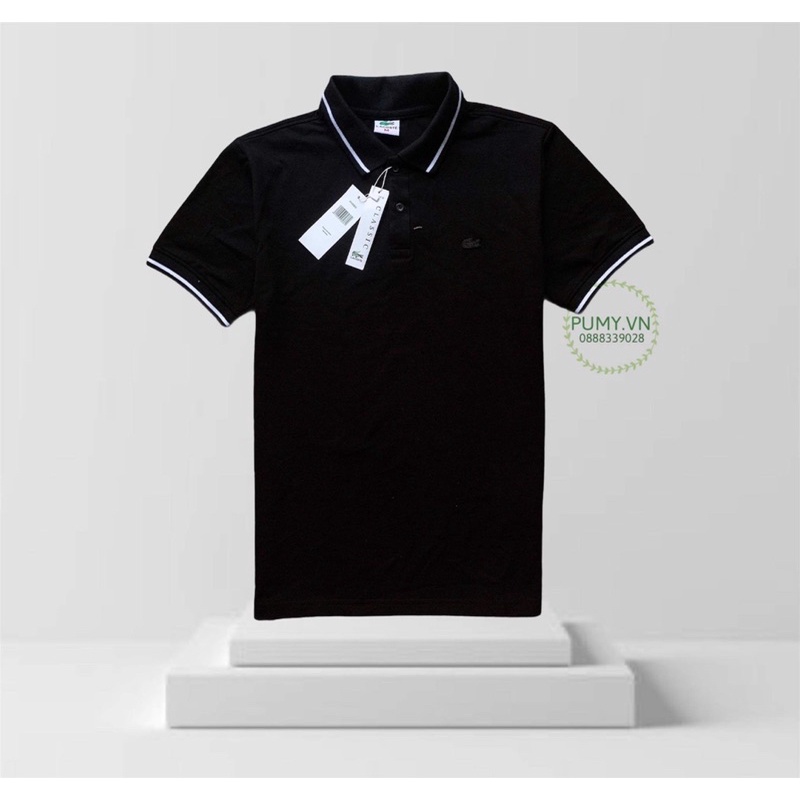  Áo thun nam cá sấu XK, thun mềm đẹp - form chuẩn | BigBuy360 - bigbuy360.vn