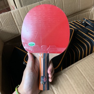 Vợt bóng bàn 729-6035