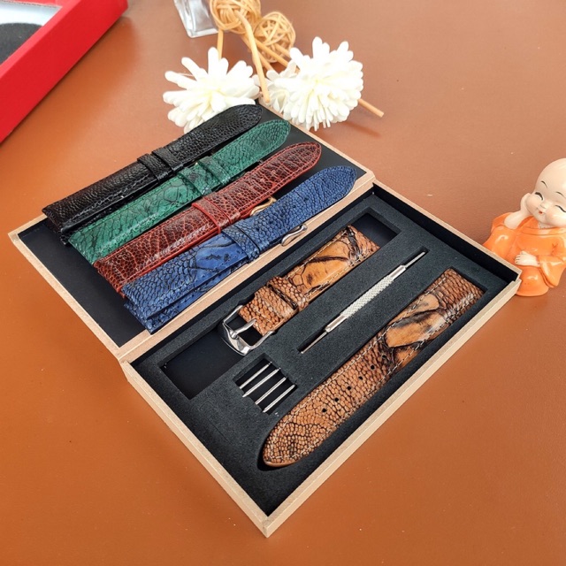 Hộp đựng đồng hồ