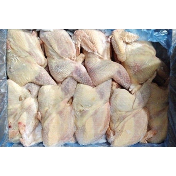 Gà dai nguyên con Hàn Quốc