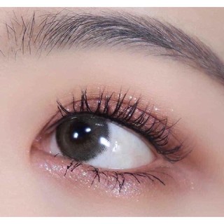 ( CHÍNH HÃNG ) Kẹp mi Daily Beauty Tools Eyelash Curler