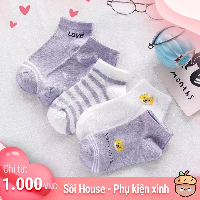 Tổng Hợp Các Mẫu Tất Dễ Thương Cute Bò Sữa,Bơ,Pastel,… Hàn Quốc Sồi House