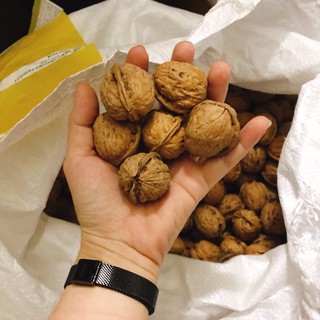 ÓC CHÓ MỸ 1000gr ( tặng kìm tách vỏ)