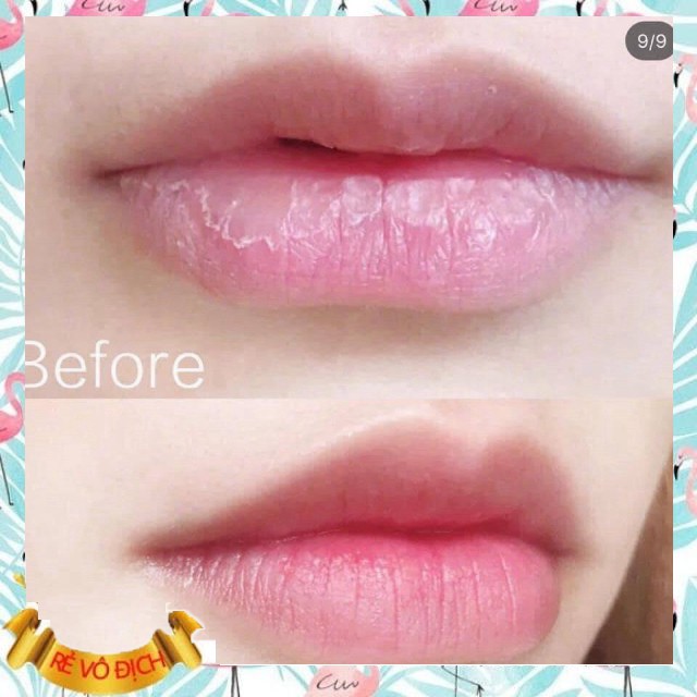 Son dưỡng giữ ẩm môi DHC Color Lip Cream Có màu, Không màu, hàng nội địa Nhật Bản [Free Ship]