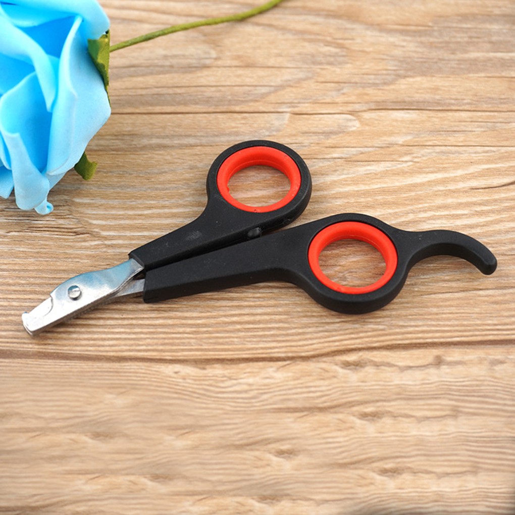 Small PP Pet Bird Toe Claw Stainless Steel Grooming Nail Clippers Scissors Pet Safe Nail CHSG