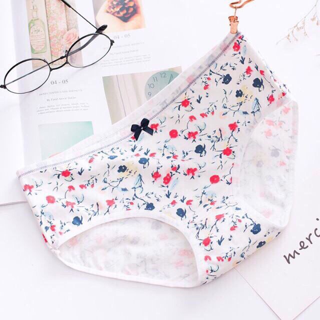 Set 5 quần lót nữ kute cotton thoáng mát mềm mịn QL38