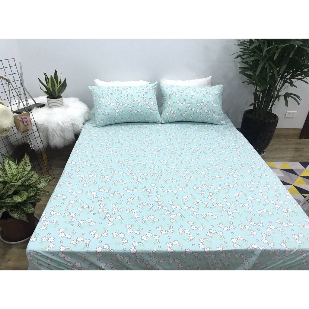 Bộ ga gối 1m8 cotton 100% nhập khẩu mềm mịn mã GGCT-01116