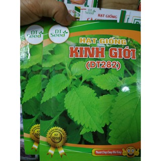 Hạt giống Rau kinh giới 5gr - Rau củ quả trồng tại vườn, sân thượng, nông trang, ban công